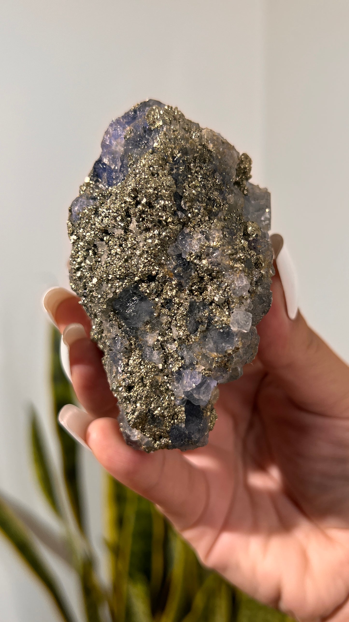 Blue Fluorite and Pyrite Specimen