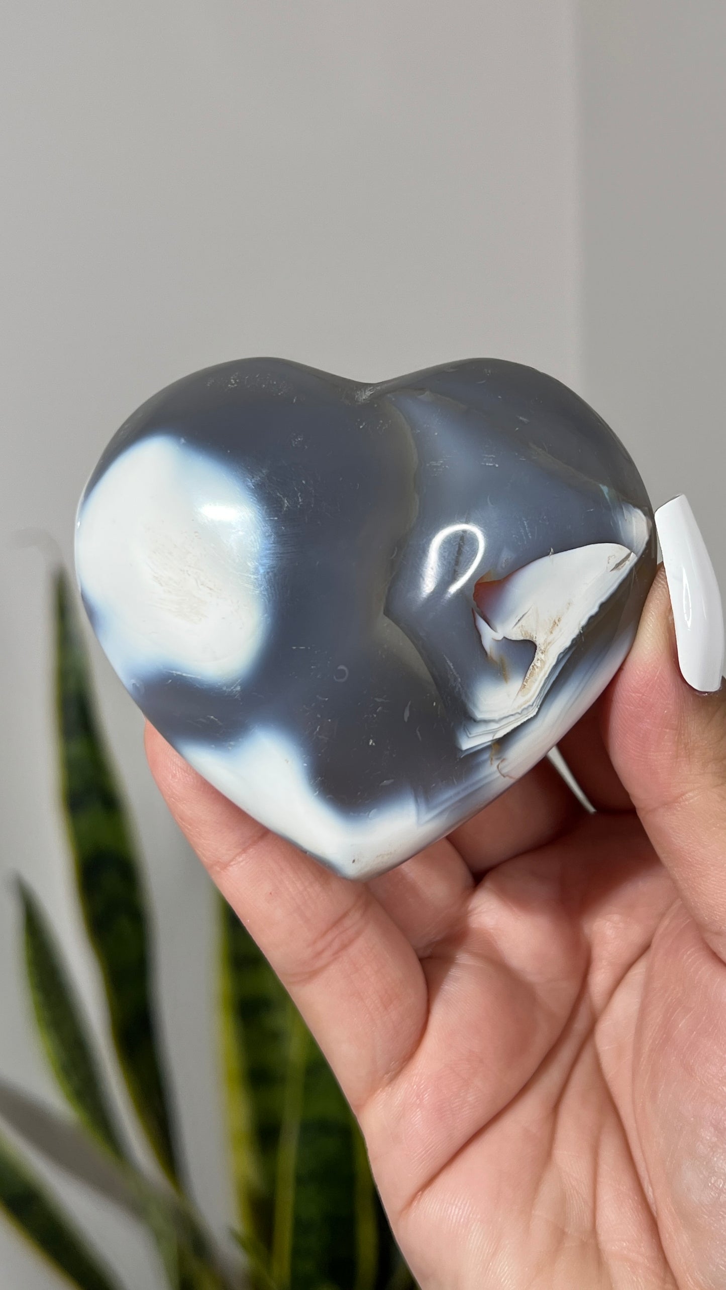 Orca Agate Heart