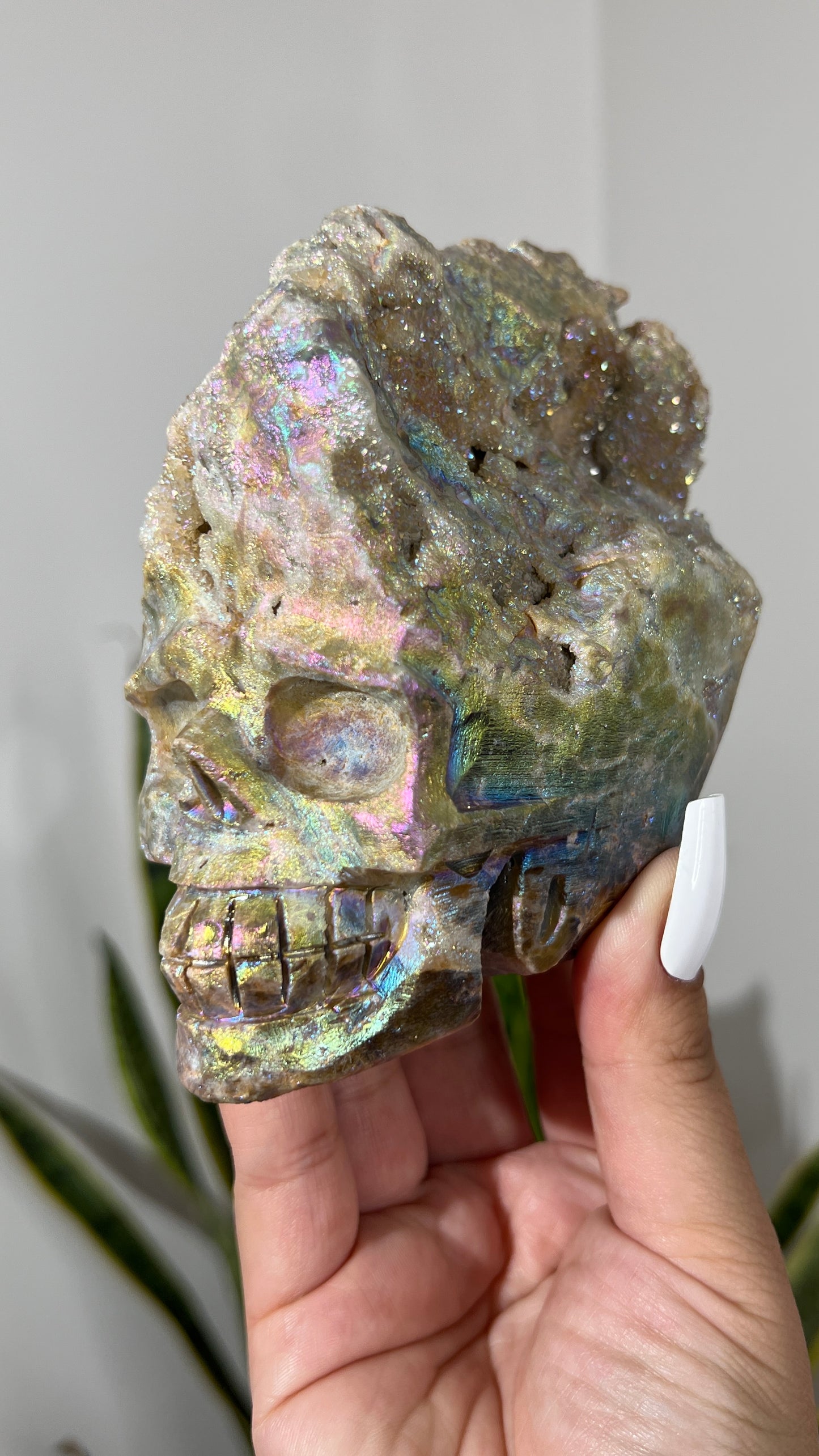 Aura Druzy Sphalerite Skull